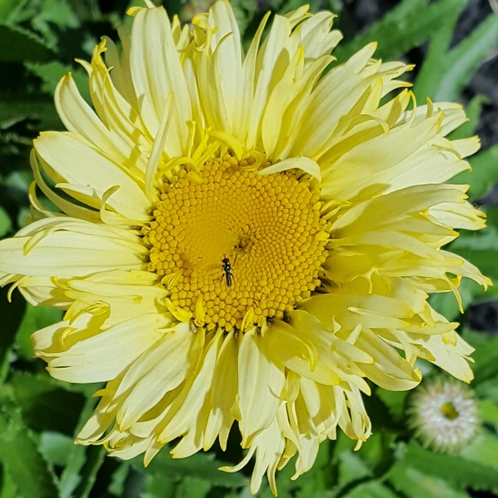 Meet your Posher, R.